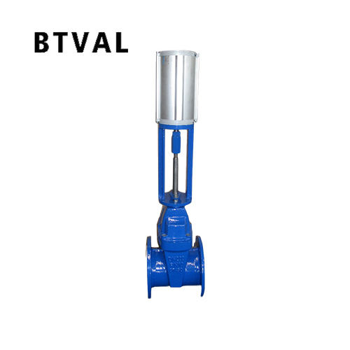 Pneumatic gate valve