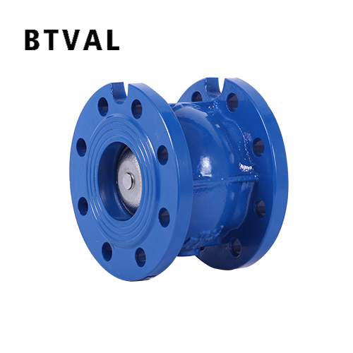 Silencing check valve