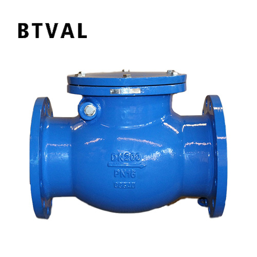 Swing check valve