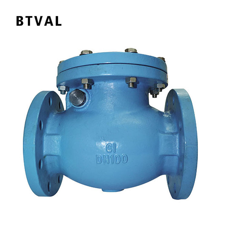 BS Check Valve