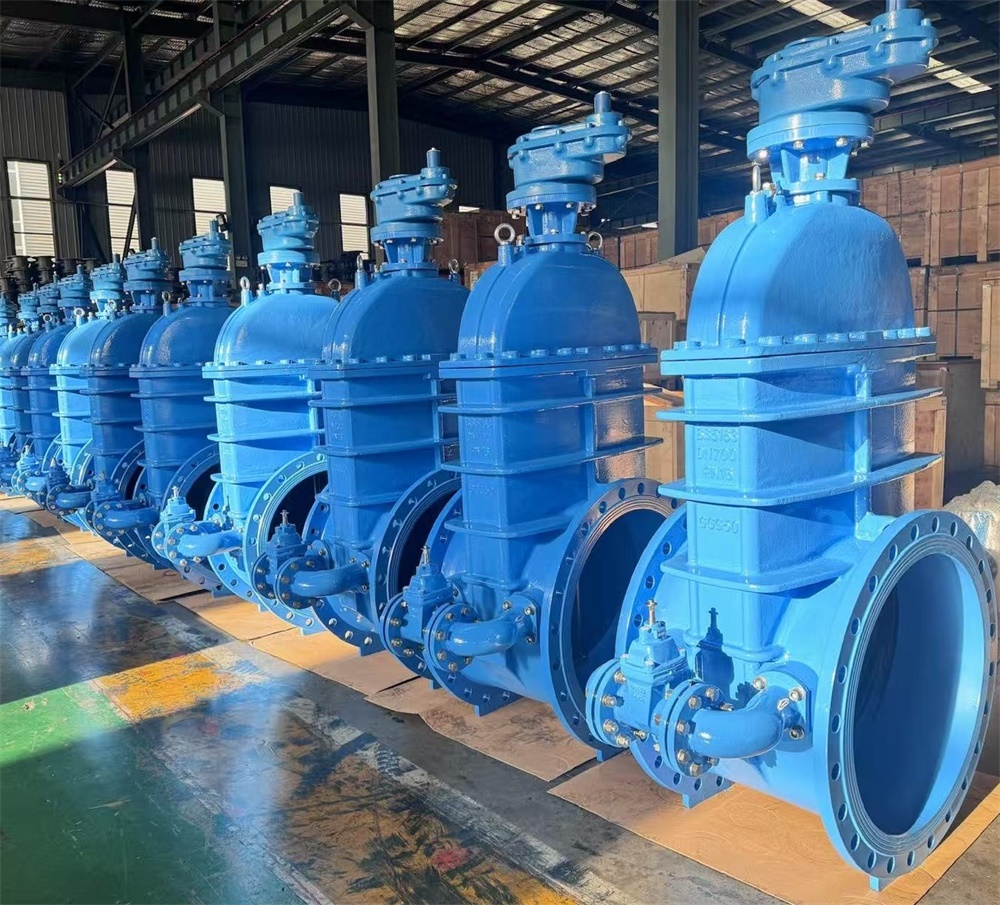 Big Size Rubber Sealing Gate Valves Cheap Cost